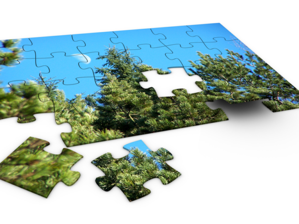 Puzzle