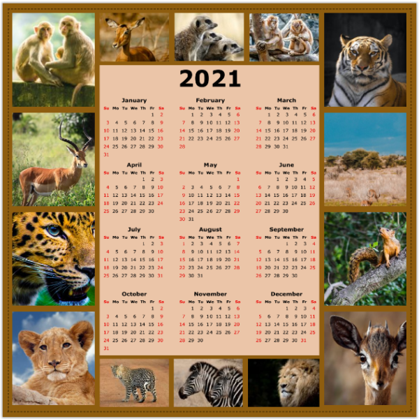 Full Year Calendar