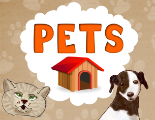 Pets H