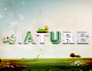 Nature II S