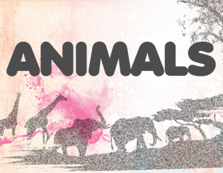 Animals H
