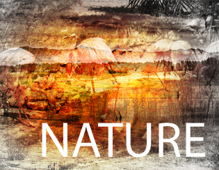 Nature H
